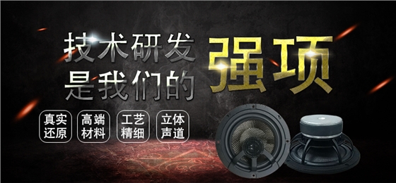 6.5寸碳纖盆/橡膠邊100w高端汽車同軸喇叭