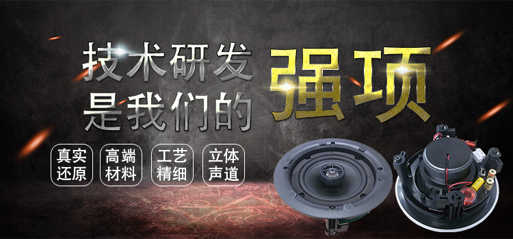 5.25寸（196mm）PP盆/橡膠邊50W鐵氧體全頻天花音箱喇叭