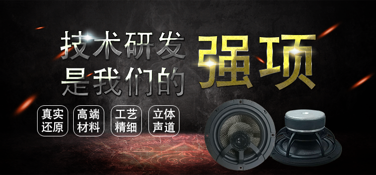 6.5寸碳纖盆/橡膠邊100w高端汽車同軸喇叭