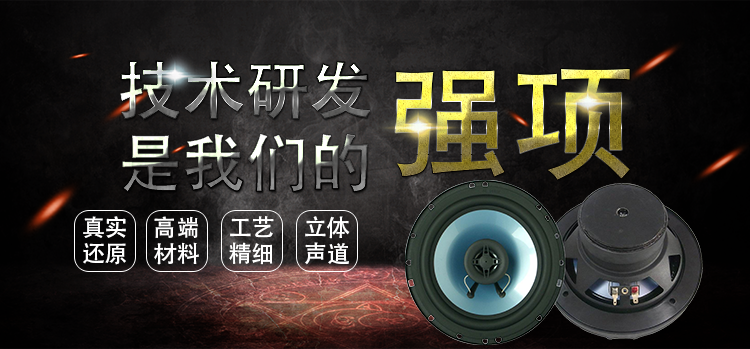 6.5寸25芯30瓦汽車音響全頻喇叭