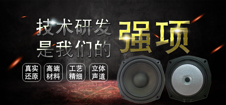 5.25寸異形鐵氧體外磁 電動式（動圈式）紙盆/泡沫環(huán)繞40W多媒體喇叭